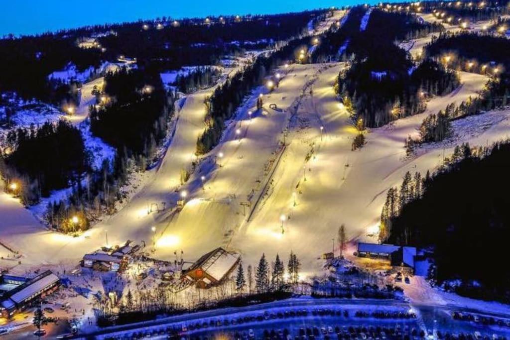 Ro I Sjelen. Hytte Til Leie Pa Skrim. Kongsberg Exterior foto
