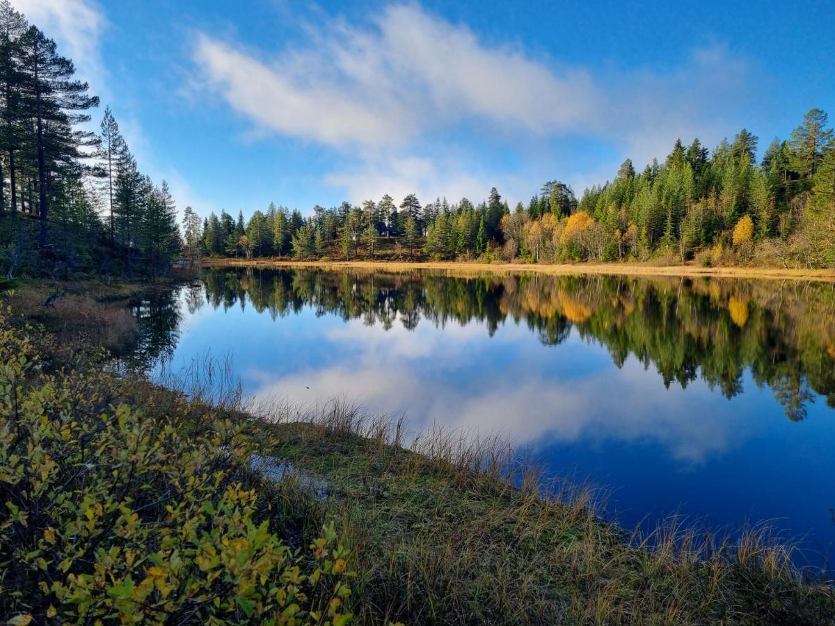 Ro I Sjelen. Hytte Til Leie Pa Skrim. Kongsberg Exterior foto