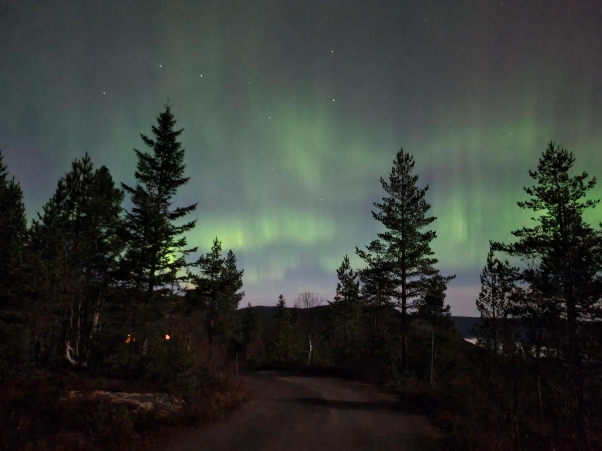 Ro I Sjelen. Hytte Til Leie Pa Skrim. Kongsberg Exterior foto