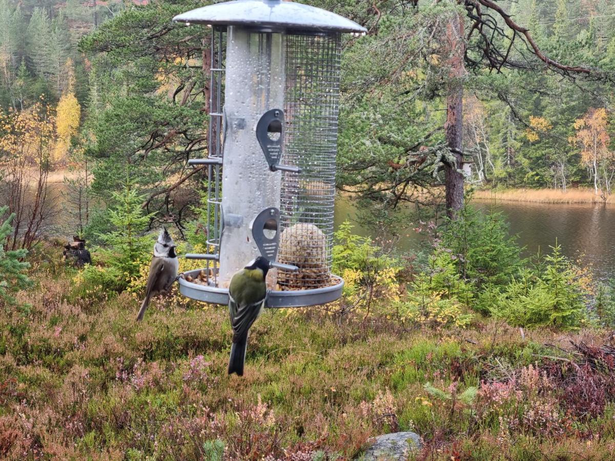 Ro I Sjelen. Hytte Til Leie Pa Skrim. Kongsberg Exterior foto