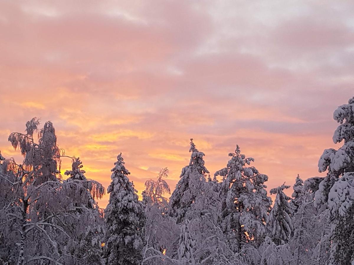 Ro I Sjelen. Hytte Til Leie Pa Skrim. Kongsberg Exterior foto