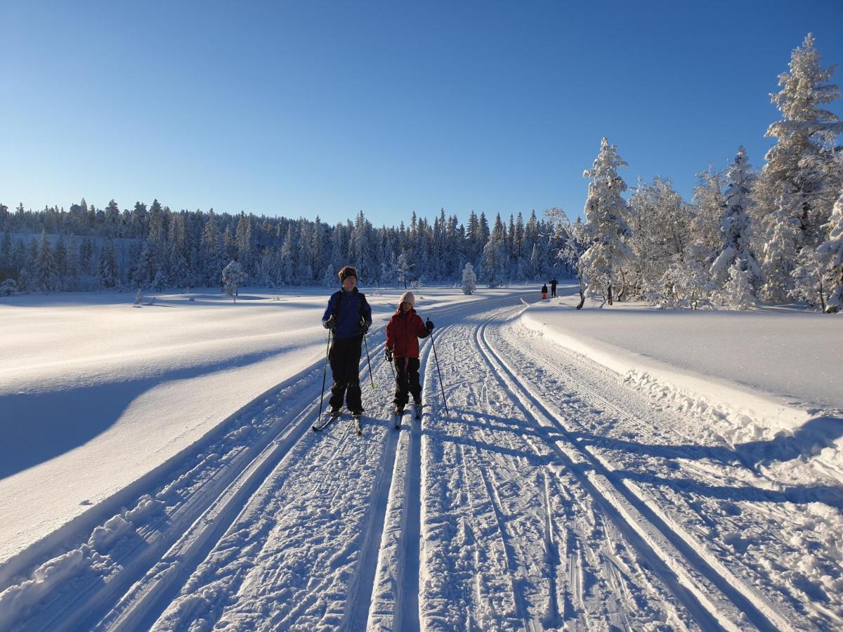 Ro I Sjelen. Hytte Til Leie Pa Skrim. Kongsberg Exterior foto