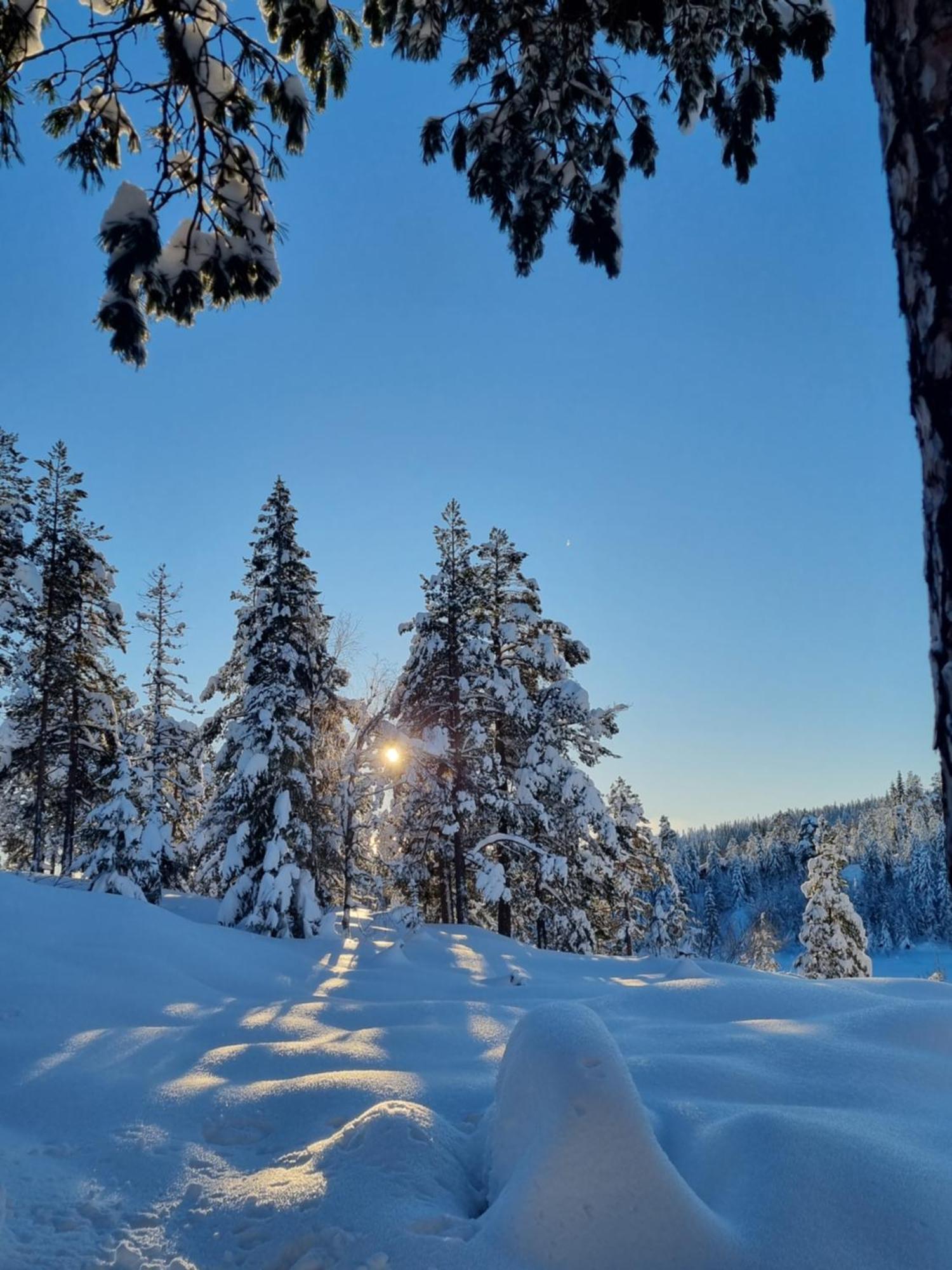 Ro I Sjelen. Hytte Til Leie Pa Skrim. Kongsberg Exterior foto