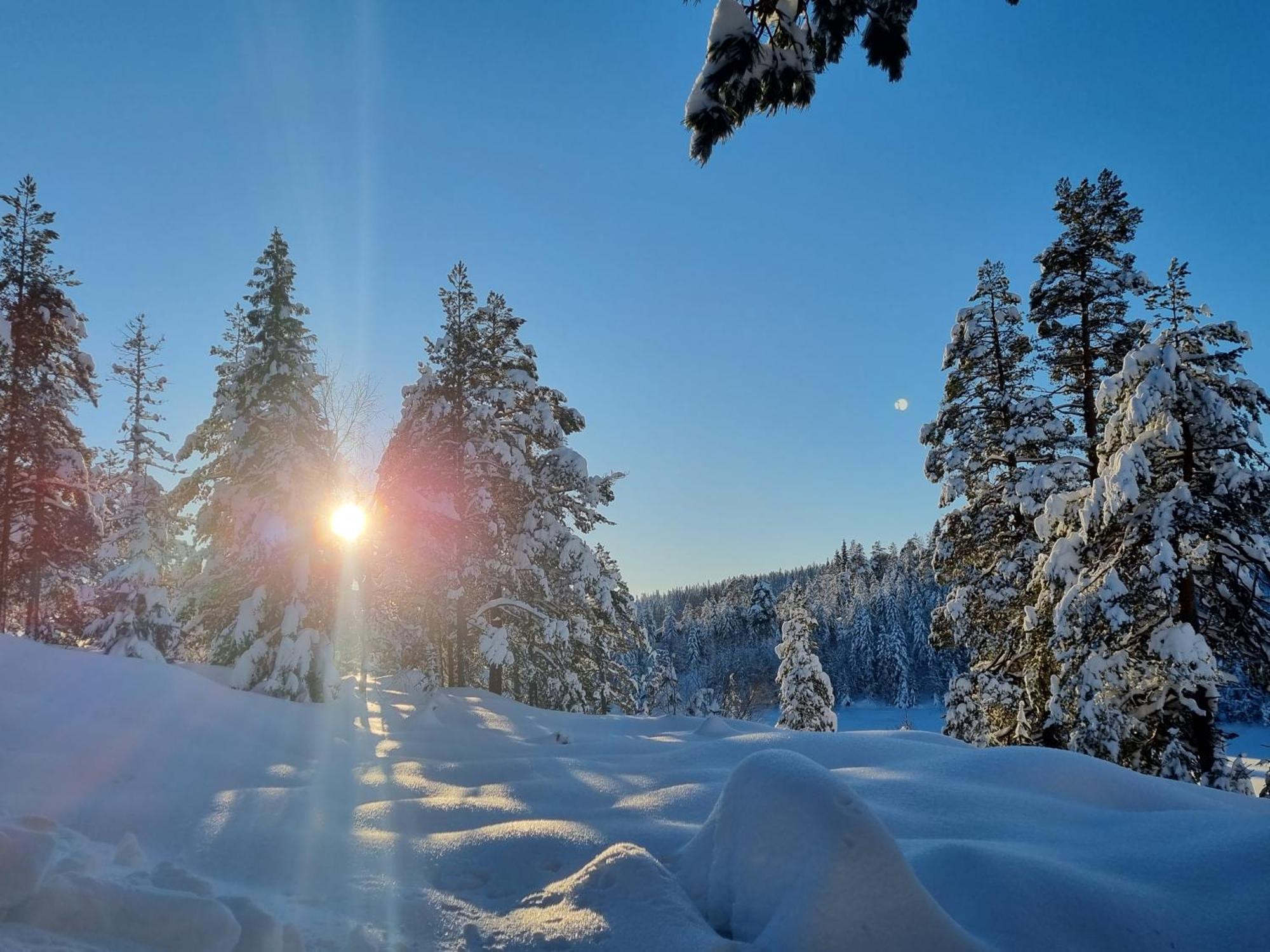 Ro I Sjelen. Hytte Til Leie Pa Skrim. Kongsberg Exterior foto