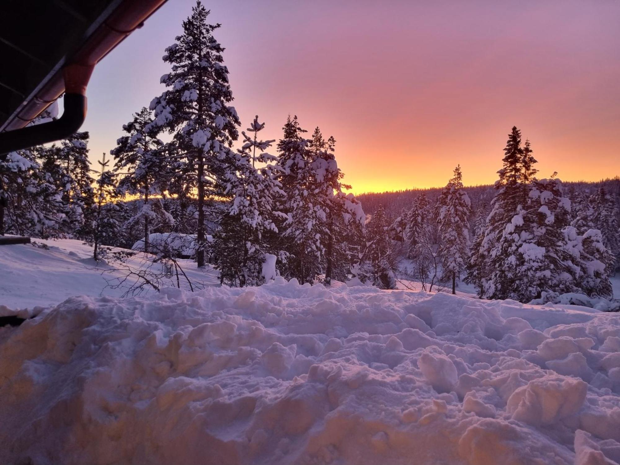 Ro I Sjelen. Hytte Til Leie Pa Skrim. Kongsberg Exterior foto