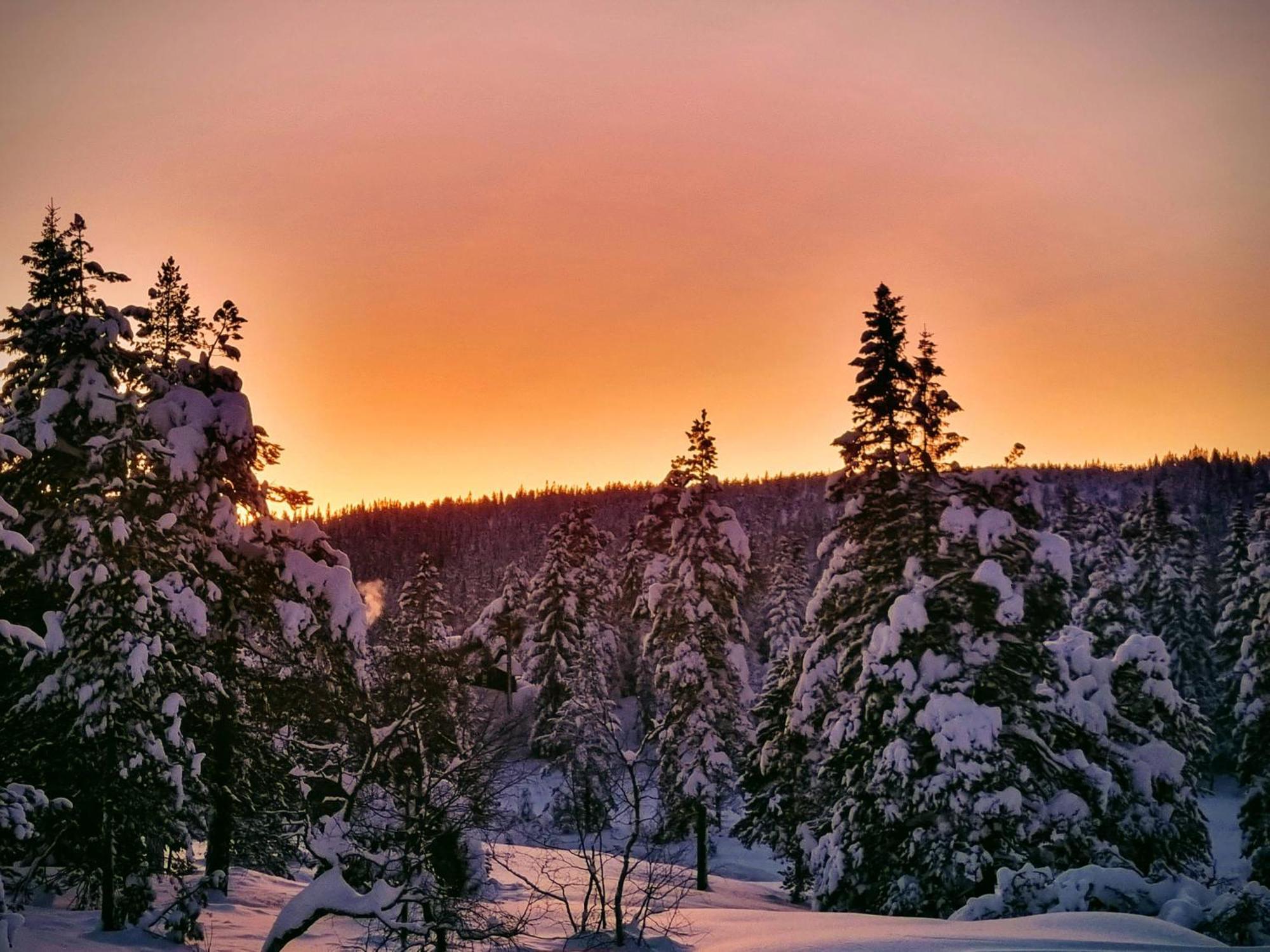 Ro I Sjelen. Hytte Til Leie Pa Skrim. Kongsberg Exterior foto