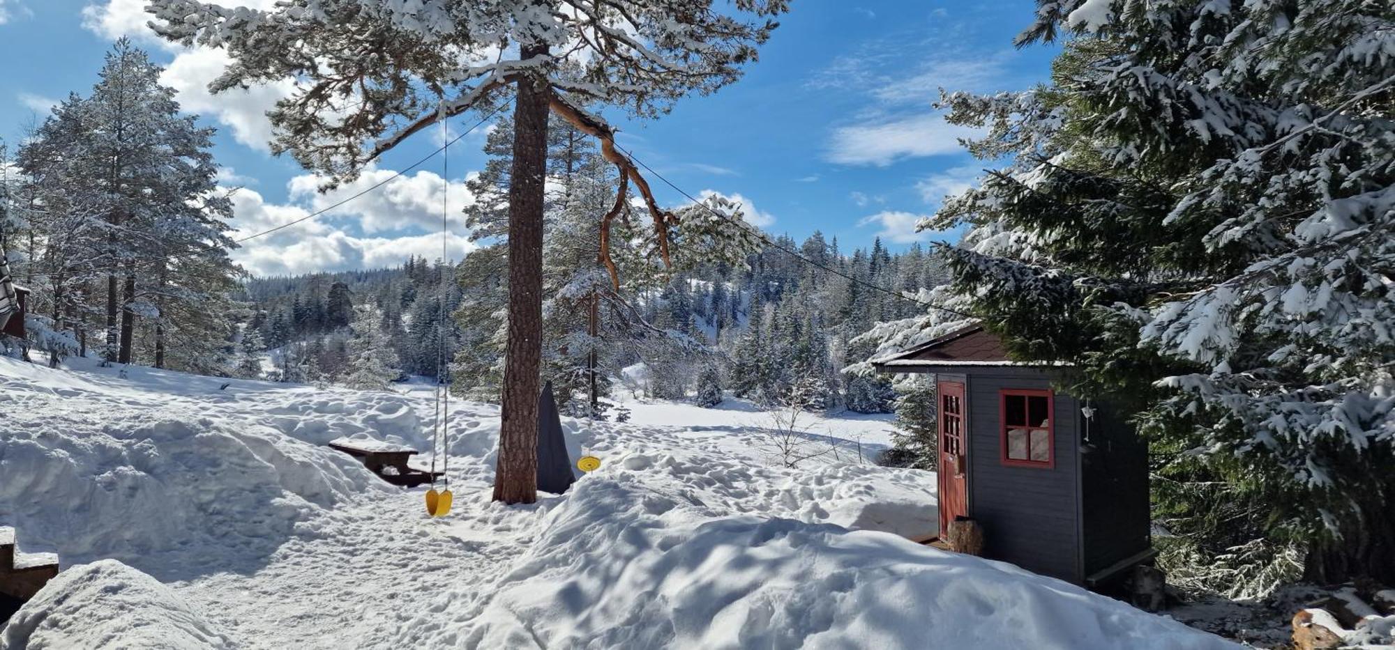 Ro I Sjelen. Hytte Til Leie Pa Skrim. Kongsberg Exterior foto