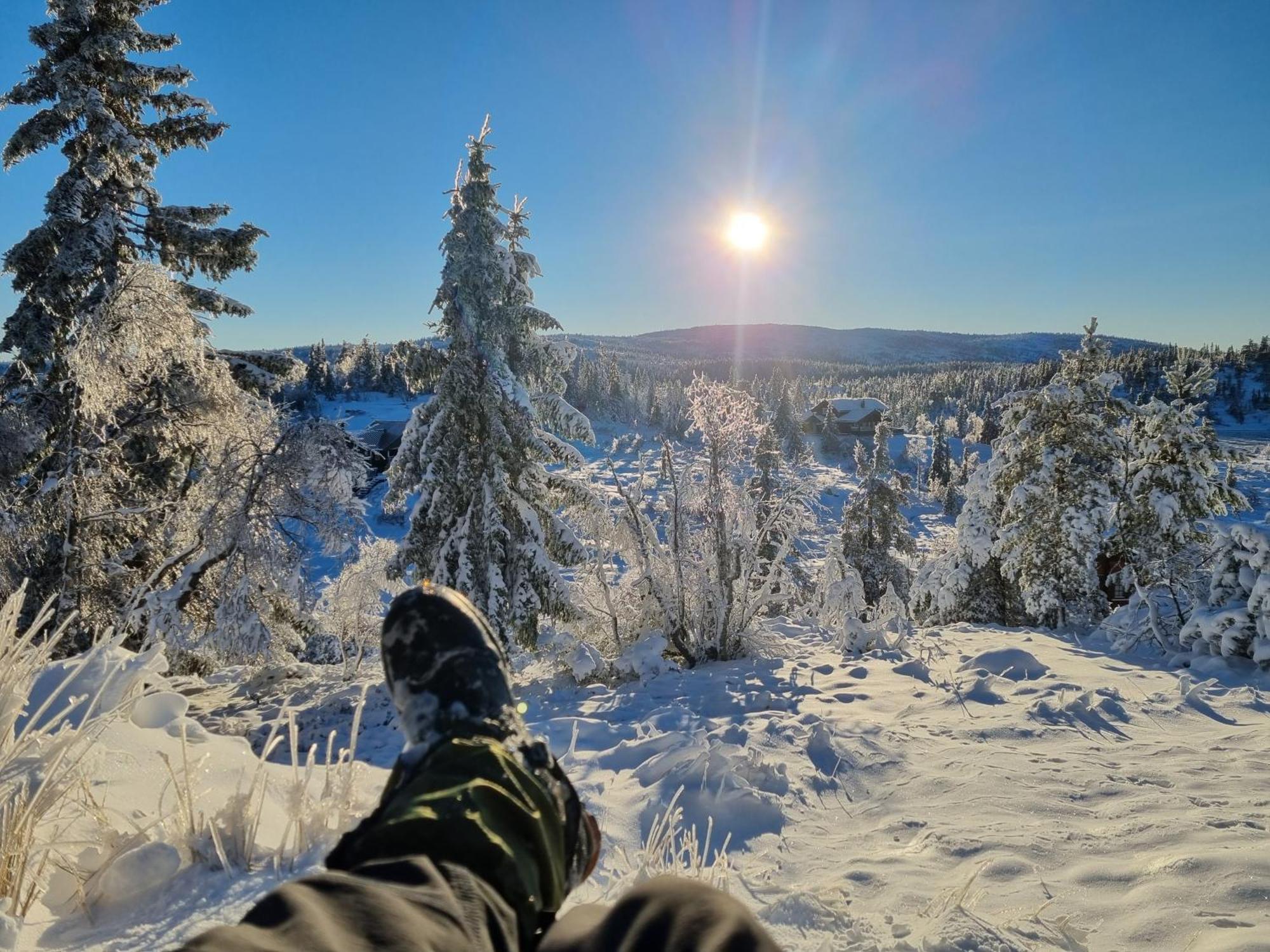 Ro I Sjelen. Hytte Til Leie Pa Skrim. Kongsberg Exterior foto