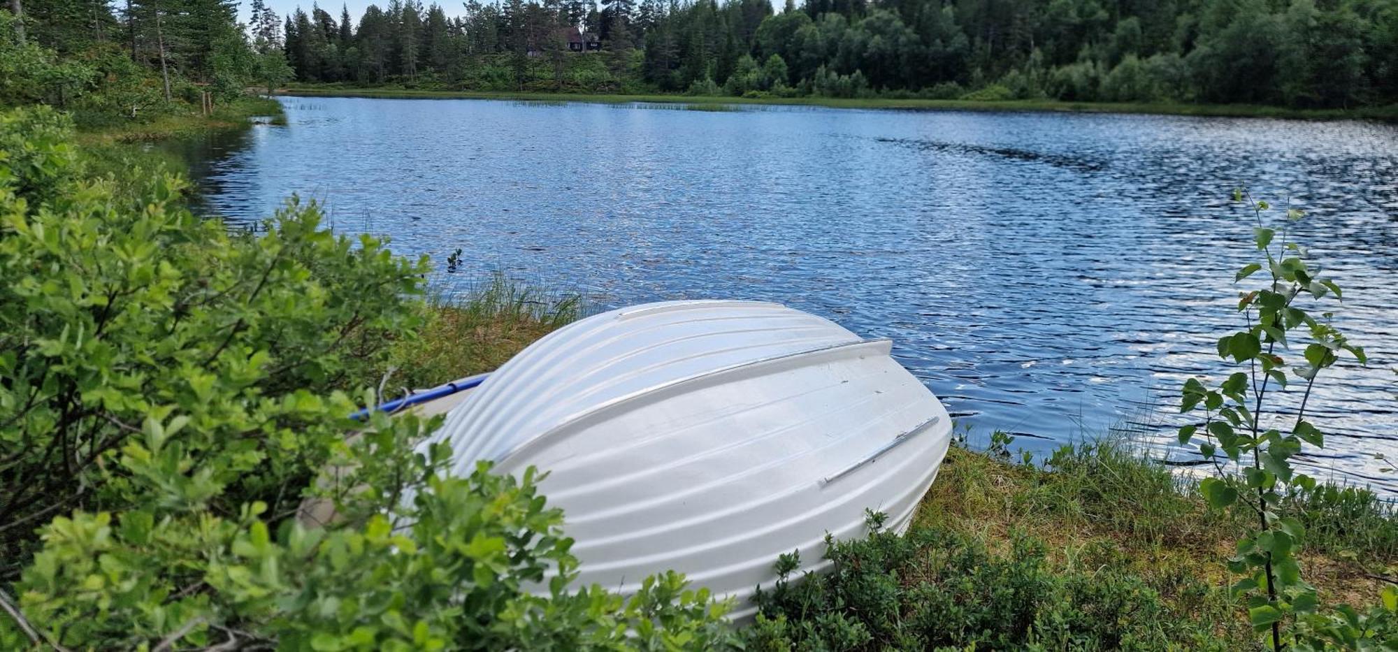 Ro I Sjelen. Hytte Til Leie Pa Skrim. Kongsberg Exterior foto